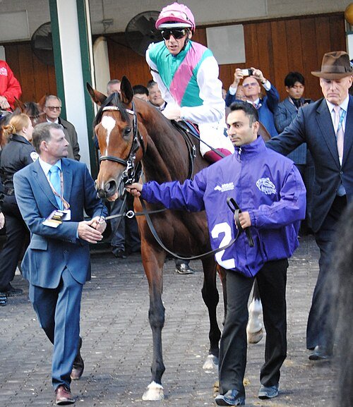 Enable